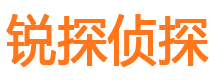 电白外遇出轨调查取证